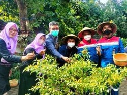 Komiten Pertamina Hijaukan Bumi Pertiwi di Tengah Ancaman Perubahan Iklim