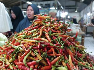 Pedagang Lamongan Prediksi Harga Cabai Bisa Capai Rp 100 Ribu per Kg Pedagang Lamongan Prediksi Harga Cabai Bisa Capai Rp 100 Ribu per Kg
