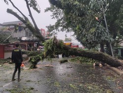 BMKG: Cuaca Ekstrem di Bogor terkait Masa Peralihan Kemarau ke Musim Hujan