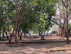 Pandemi Sudah Berlalu, tapi Wisata Kepulauan Seribu Masih Abu-abu