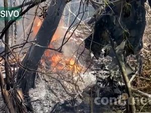 Pesawat Jatuh di Amazon Brasil, Seluruh Penumpang Tewas