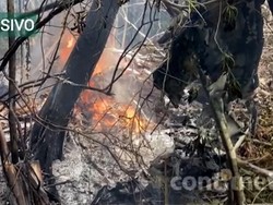 Pesawat Jatuh di Amazon Brasil, Seluruh Penumpang Tewas