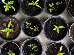 12 Jenis-jenis Tanah di Indonesia Beserta Persebarannya