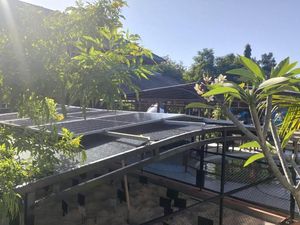 Energi Baru Terbarukan dari Atap TCEC Serangan Denpasar