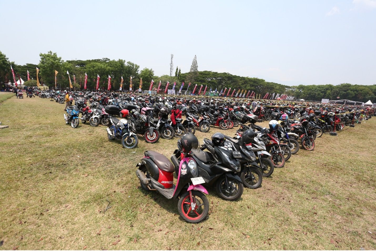 adv ahm