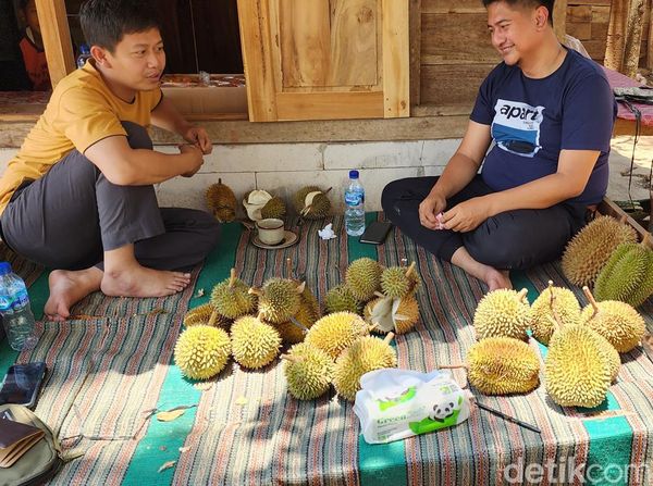 Potret Kampung Durian yang Unik di Blora, Kecil tapi Nendang