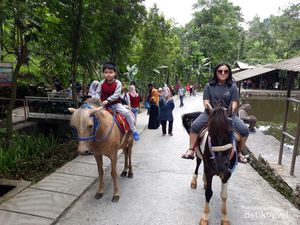 Begini Cara Seru Menikmati Wisata Floating Market Lembang Begini Cara Seru Menikmati Wisata Floating Market Lembang