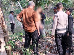 Bujang Lapuk Gantung Diri di Pohon Duku