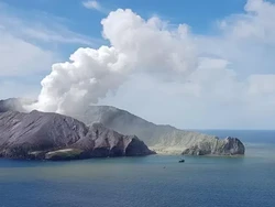 Pemilik Pulau Dinyatakan Bersalah dalam Tur Mematikan Saat Gunung Meletus