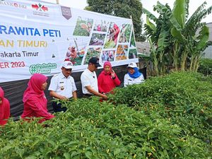 Heru Budi Hadiri Panen Raya 3,5 Ton Cabai Se-Jakarta Timur