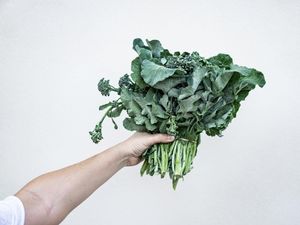 Manfaat Daun Kailan, Kandungan dan Rekomendasi Resep Nikmatnya