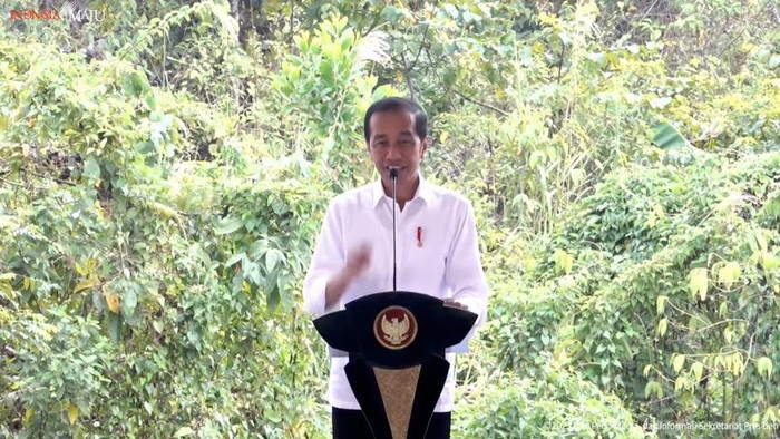 Presiden Jokowi. (Foto: Tangkapan layar YouTube Sekretariat Presiden)