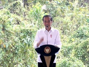 Jokowi Minta Revitalisasi SD di IKN Selesai Sebelum Dirinya Pensiun