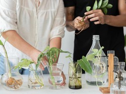 30+ Contoh Soal Biologi Kelas 11 SMA Lengkap dengan Jawabannya