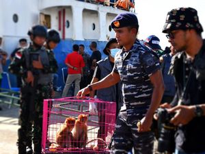 Aksi Lantamal Pontianak Tangkap Kapal Asing Bawa Satwa Dilindungi