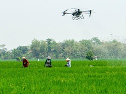 Studi Harvard Sebut Indonesia Paling Berkembang, AS Kalah