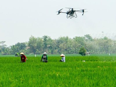Mengintip Drone Wira-wiri Tebar Pupuk di Sawah