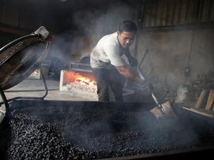 Potret Roasting Kopi Robusta Cara Jadul, Diminati Harga Rp 90 Ribu/Kilo