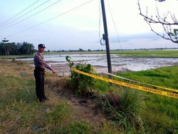 3 Petugas Pemasang Tiang WiFi di Deli Serdang Kesetrum, 1 Tewas
