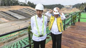 Jokowi Cek Proyek Tol IKN yang Progresnya Sudah 55%