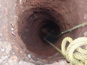 Aksi Petugas Damkar Selamatkan Pria Terjebak di Sumur 8 Meter Aksi Petugas Damkar Selamatkan Pria Terjebak di Sumur 8 Meter
