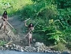 Viral Video Suku Pedalaman Konfrontasi Buldoser Dekat Tambang Nikel