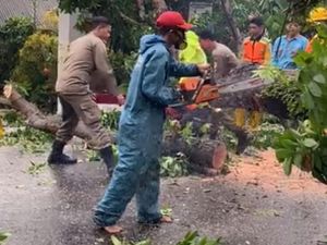 Tertimpa Pohon Saat Melintas, Pemotor di Bogor Alami Luka-luka