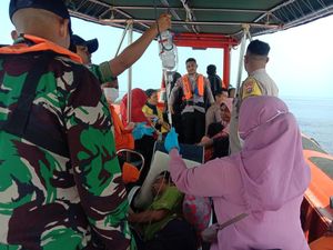 Komodo Muncul dari Belakang, Gigit Warga Saat Petik Asam Komodo Muncul dari Belakang, Gigit Warga Saat Petik Asam