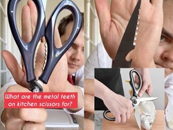 Gunting Dapur Ternyata Punya Banyak Fungsi di Tangan Orang yang Tepat