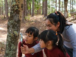 Mengenal Teori Piaget, Konsep Perkembangan Kognitif Mengenal Teori Piaget, Konsep Perkembangan Kognitif