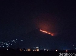 Gunung Penanggungan Membara, Kobaran Api Terlihat hingga Sidoarjo