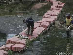 Berburu Cacing Merah di BKT saat Debit Air Menyusut Berburu Cacing Merah di BKT saat Debit Air Menyusut