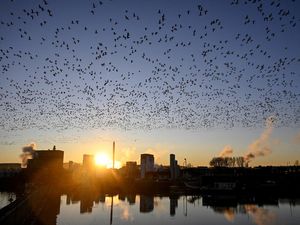 10 Negara Favorit Tujuan Relokasi Bagi Warga Dunia