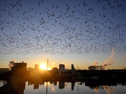 10 Negara Favorit Tujuan Relokasi Bagi Warga Dunia