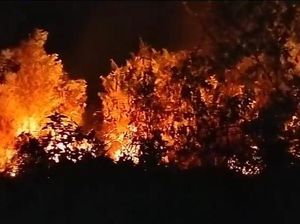 Kebakaran Penanggungan Menjalar ke Bukit Sarang Kelapa-Puncak Bayangan