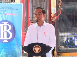 Ternyata Ini Alasan Tak Ada Kader PDIP Temani Jokowi Makan Siang di Bali
