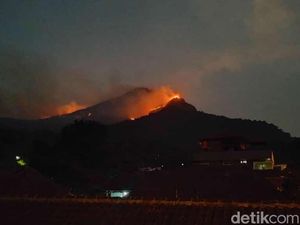 Kebakaran Gunung Penanggungan Disebut Pertanda Datangnya Musim Hujan