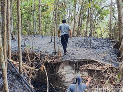 Kebakaran Lahan di Patuk Gunungkidul, Seorang Kakek Meninggal