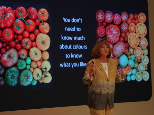 Koleksi Tren Warna Baru untuk Hunian Sambut Tahun 2024