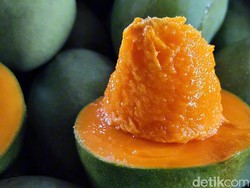 Lembut Manis Mangga Alpukat Khas Pasuruan yang Jadi Incaran