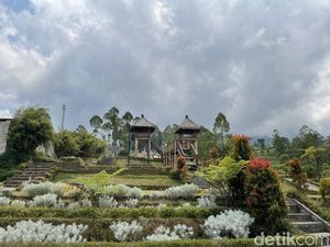 Foto-foto Cantik Sama Bunga Edelweis Tanpa Perlu Mendaki di Bali Foto-foto Cantik Sama Bunga Edelweis Tanpa Perlu Mendaki di Bali
