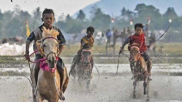 Aksi Joki Cilik Memacu Kuda Lumpur di Dompu NTB
