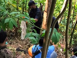 Geger Tengkorak Manusia Tertutup Kain Putih di Kebun Warga Ciamis