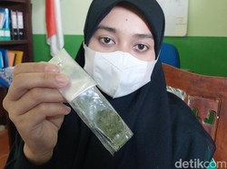 Sekolah Sebut Luka Sayatan Siswa MI di Malang Bukan karena Cutter