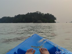 Terungkap Modus WNA Kuasai Pulau di RI