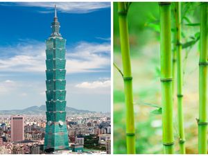 Mahakarya Arsitektur Dunia yang Terinspirasi dari Alam Mahakarya Arsitektur Dunia yang Terinspirasi dari Alam