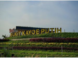 Mau Wisata dan Kulineran Gratis di Mojokerto? Buruan Nyoblos di Pemilu 2024 Mau Wisata dan Kulineran Gratis di Mojokerto? Buruan Nyoblos di Pemilu 2024