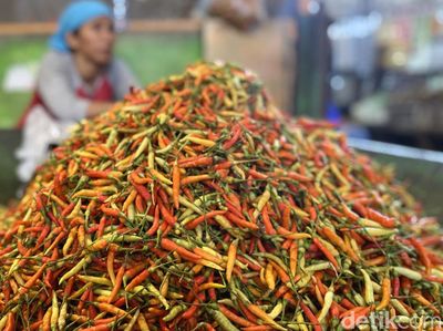 Pedasnya Harga Cabai di Surabaya