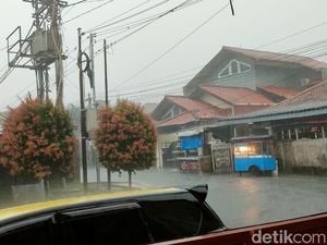 Kota Bogor Diguyur Hujan Deras Disertai Petir, Waspada Pohon Tumbang