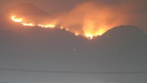 45 Hektare Hutan dan Lahan Gunung Penanggungan Terbakar